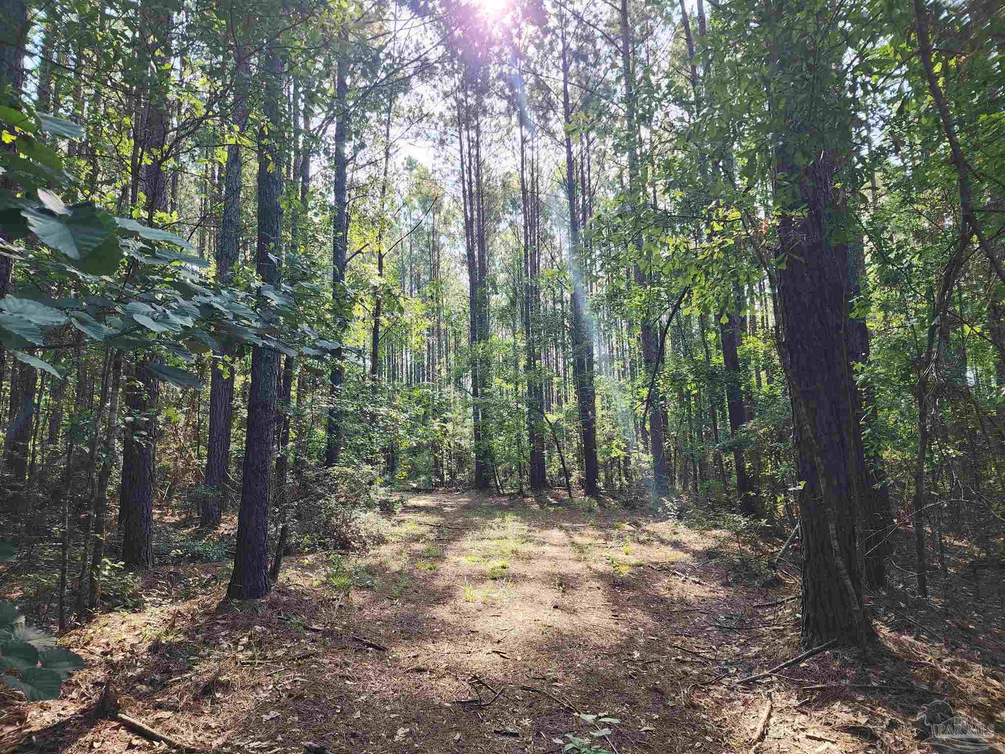 0 Lowery Road, Unit LOT #10 Atmore, AL 36502 - Photo 13 of 28 a view of outdoor space and green space