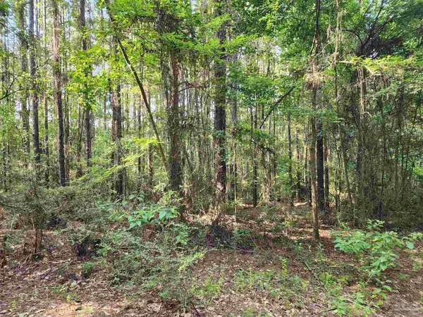 $42,500 | 0 Lowery Road, Unit LOT #10, Atmore, AL 36502