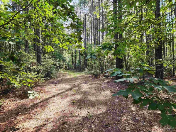 $42,500 | 0 Lowery Road, Unit LOT #10, Atmore, AL 36502