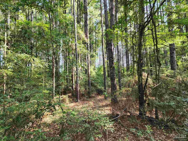 $42,500 | 0 Lowery Road, Unit LOT #10, Atmore, AL 36502