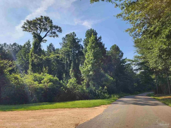 $42,500 | 0 Lowery Road, Unit LOT #10, Atmore, AL 36502