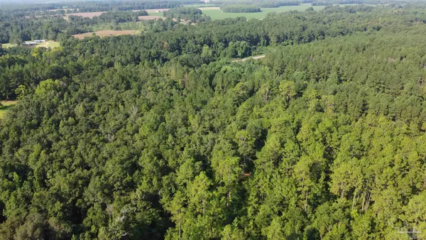 $42,500 | 0 Lowery Road, Unit LOT #10, Atmore, AL 36502