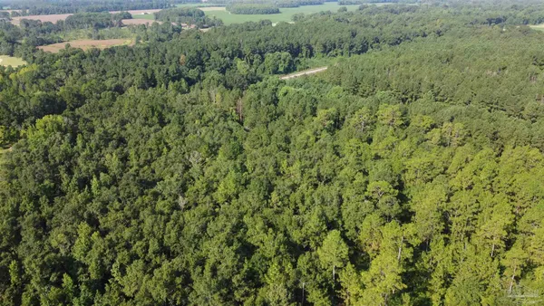 $42,500 | 0 Lowery Road, Unit LOT #10, Atmore, AL 36502