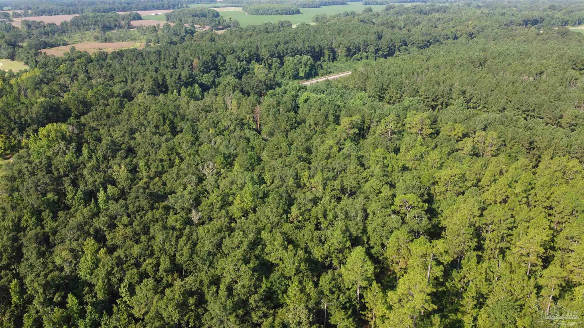 0 Lowery Road, Unit LOT #10 Atmore, AL 36502 - Photo 23 of 28 a view of a lush green forest with trees and houses