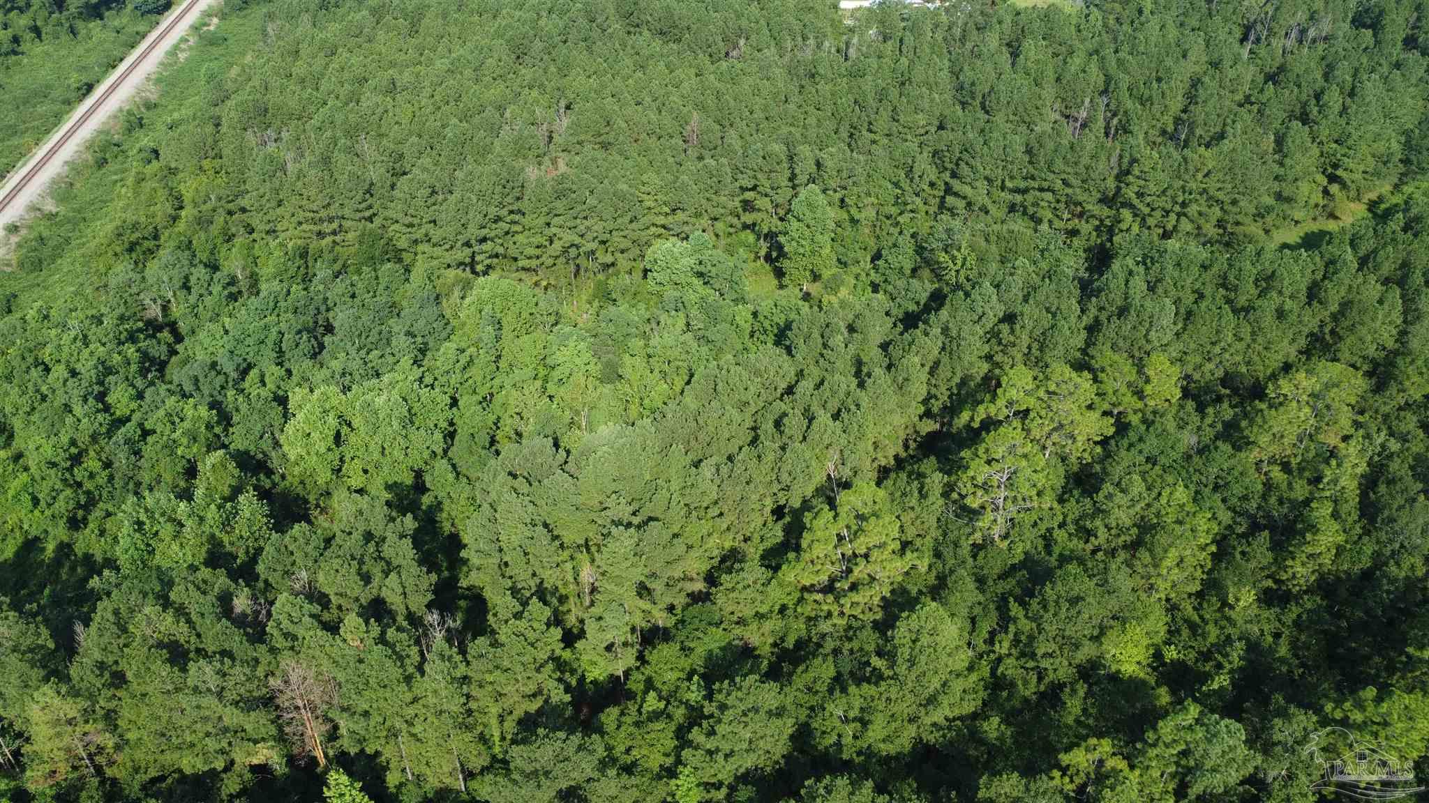 0 Lowery Road, Unit LOT #10 Atmore, AL 36502 - Photo 26 of 28 a view of a lush green forest