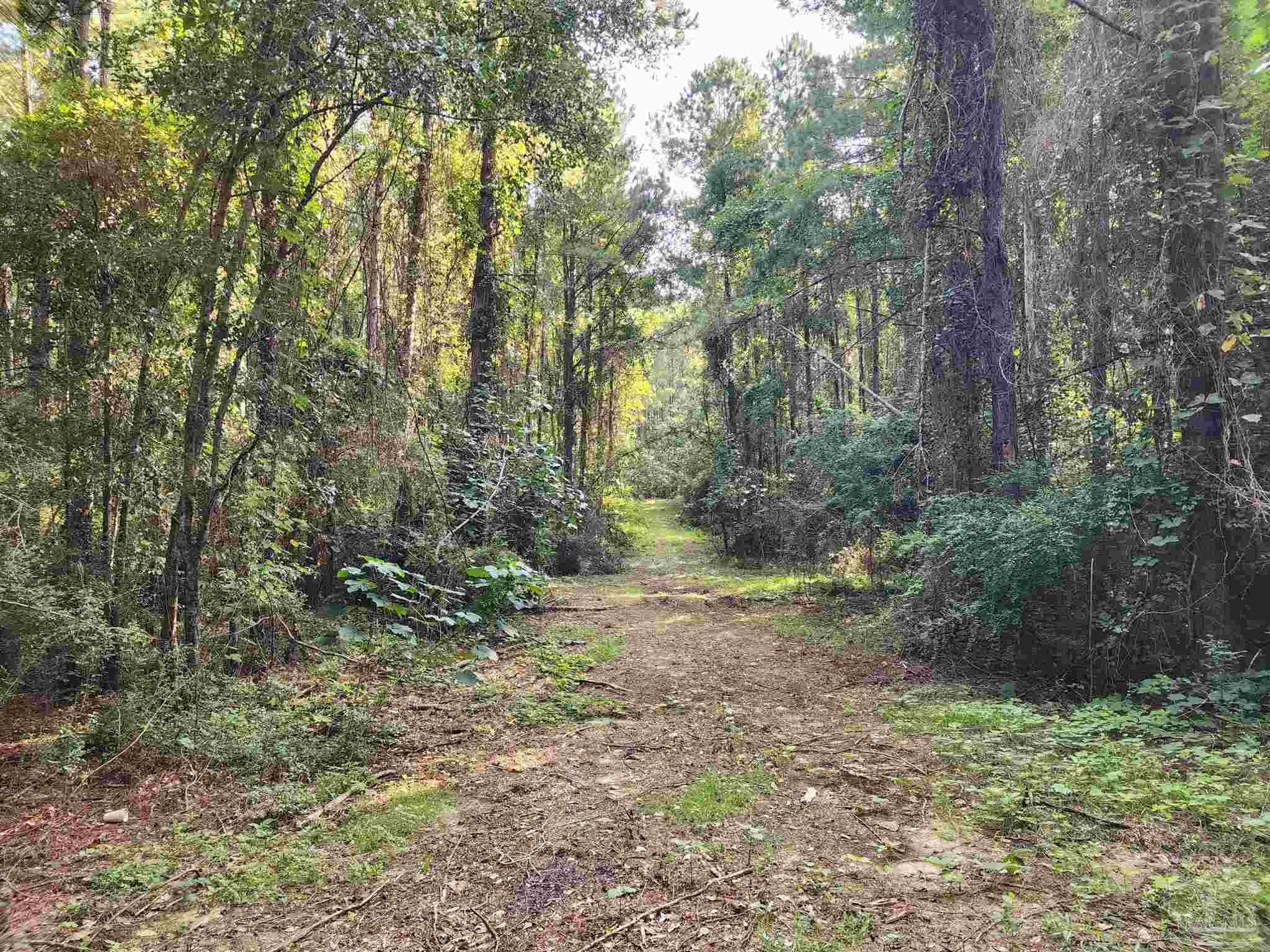 0 Lowery Road, Unit LOT #10 Atmore, AL 36502 - Photo 5 of 28 a big yard with lots of green space and trees