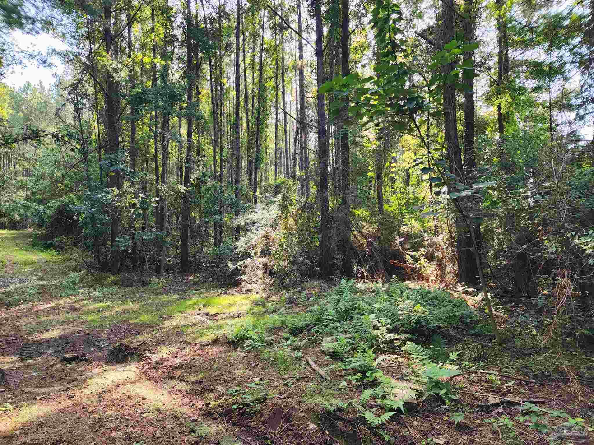 0 Lowery Road, Unit LOT #10 Atmore, AL 36502 - Photo 6 of 28 a view of outdoor space and yard