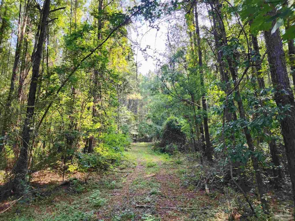 $42,500 | 0 Lowery Road, Unit LOT #10, Atmore, AL 36502