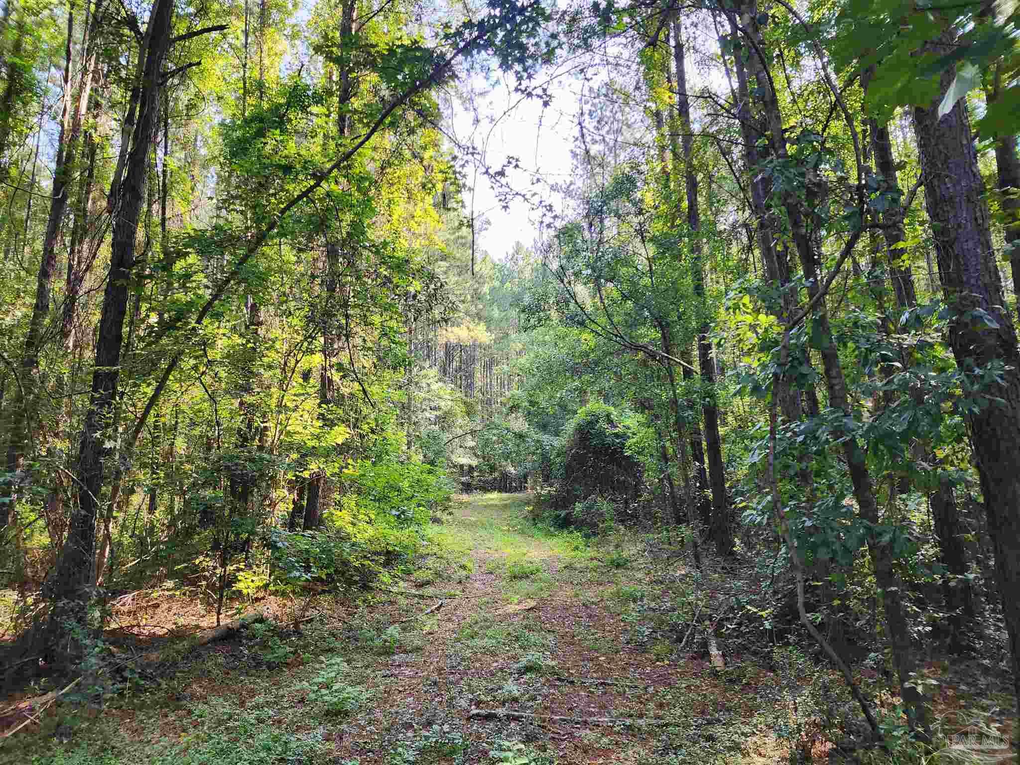 0 Lowery Road, Unit LOT #10 Atmore, AL 36502 - Photo 9 of 28 a big yard with lots of green space and house