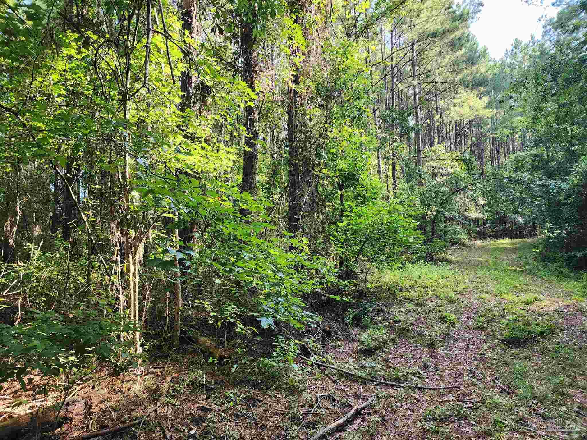 0 Lowery Road, Unit LOT #10 Atmore, AL 36502 - Photo 10 of 28 a view of a garden