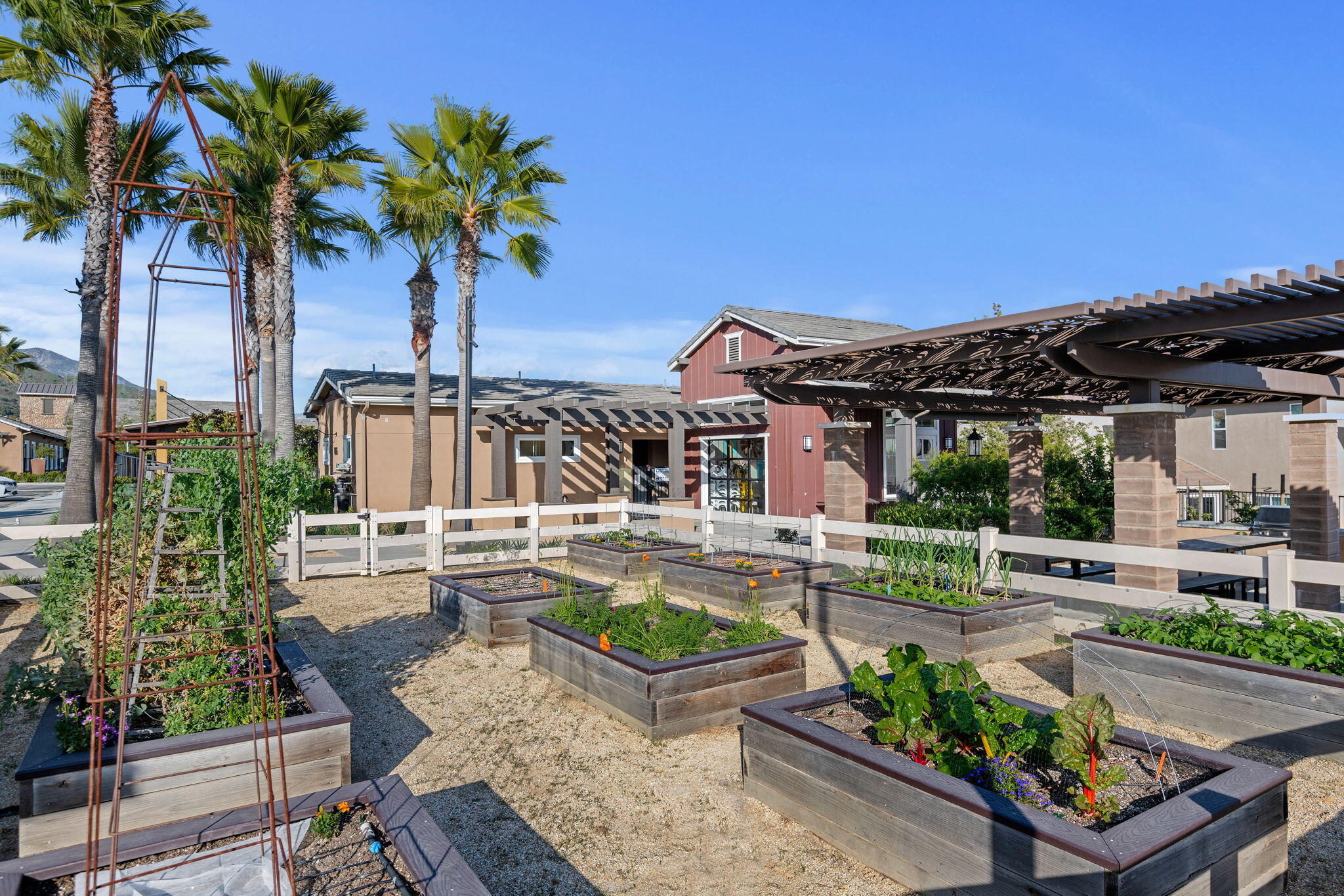 2171 Moro Way Santa Paula, CA 93060 - Photo 47 of 57 Education Room and Garden