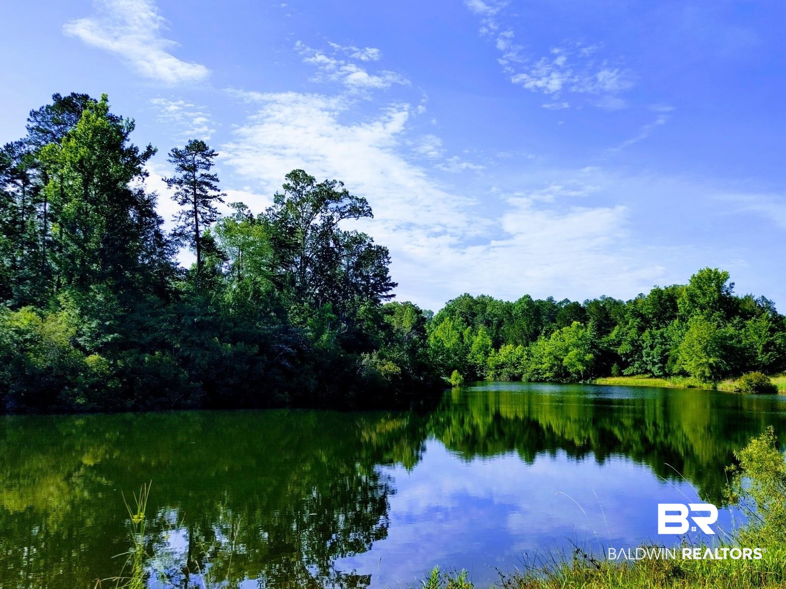 48 Highway 17 Millry, AL 36558 - Photo 29 of 50