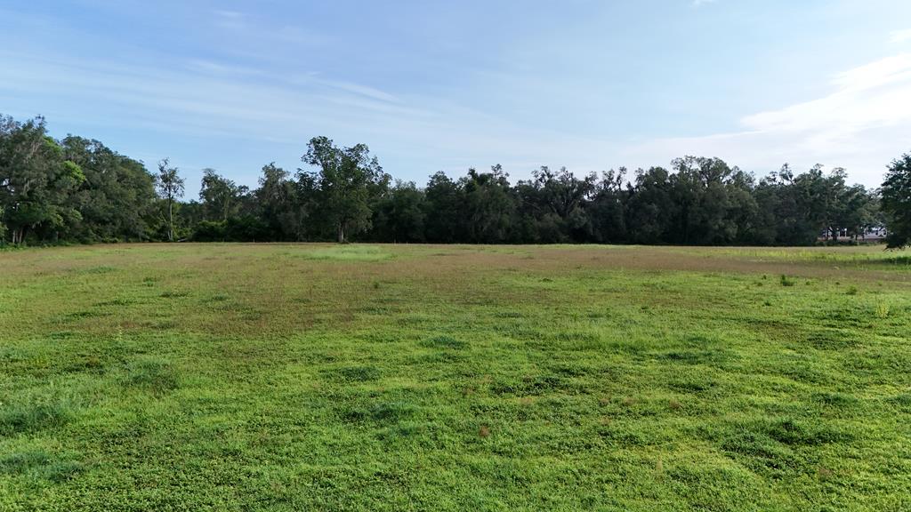 Vacant 145th Road Live Oak, FL 32060 - Photo 26 of 42