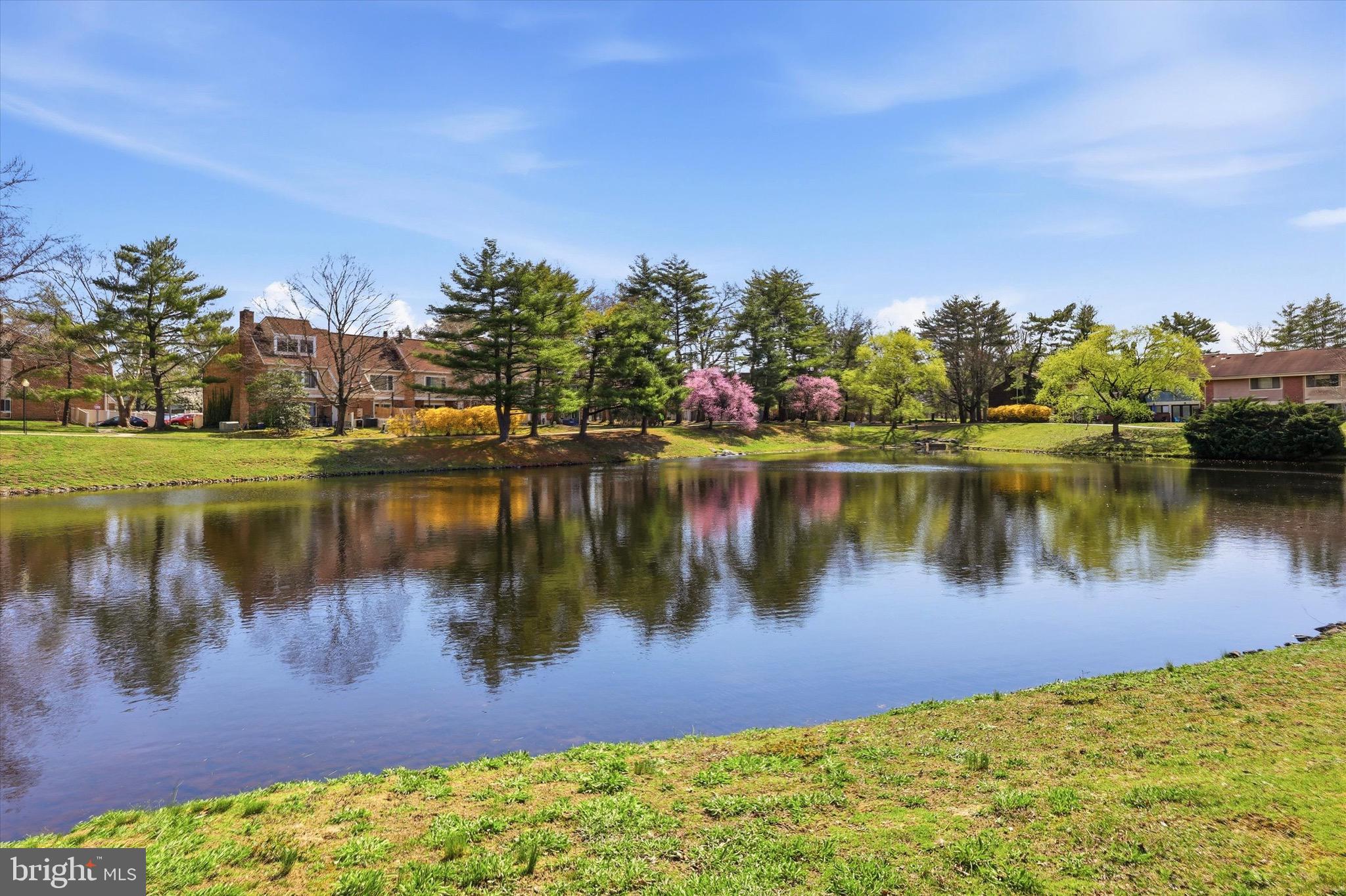 157 Echelon Road Voorhees, NJ 08043 - Photo 15 of 15 View From The Backdoor