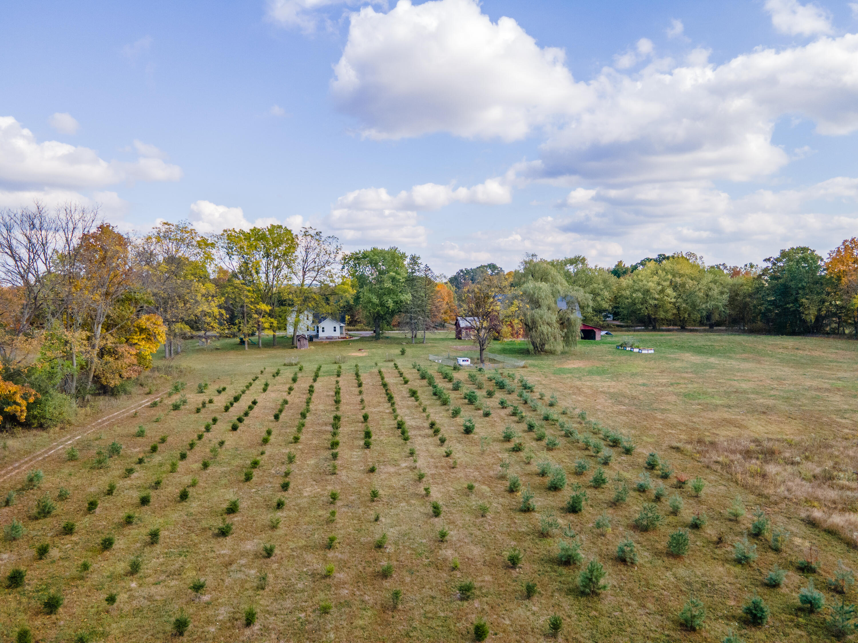 4420 South Bull Run Road Gregory, MI 48137 - Photo 4 of 71 DJI_0134