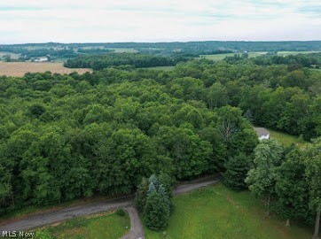 7047 Bayard Road Minerva, OH 44657 - Photo 1 of 20 Gallery Image 1