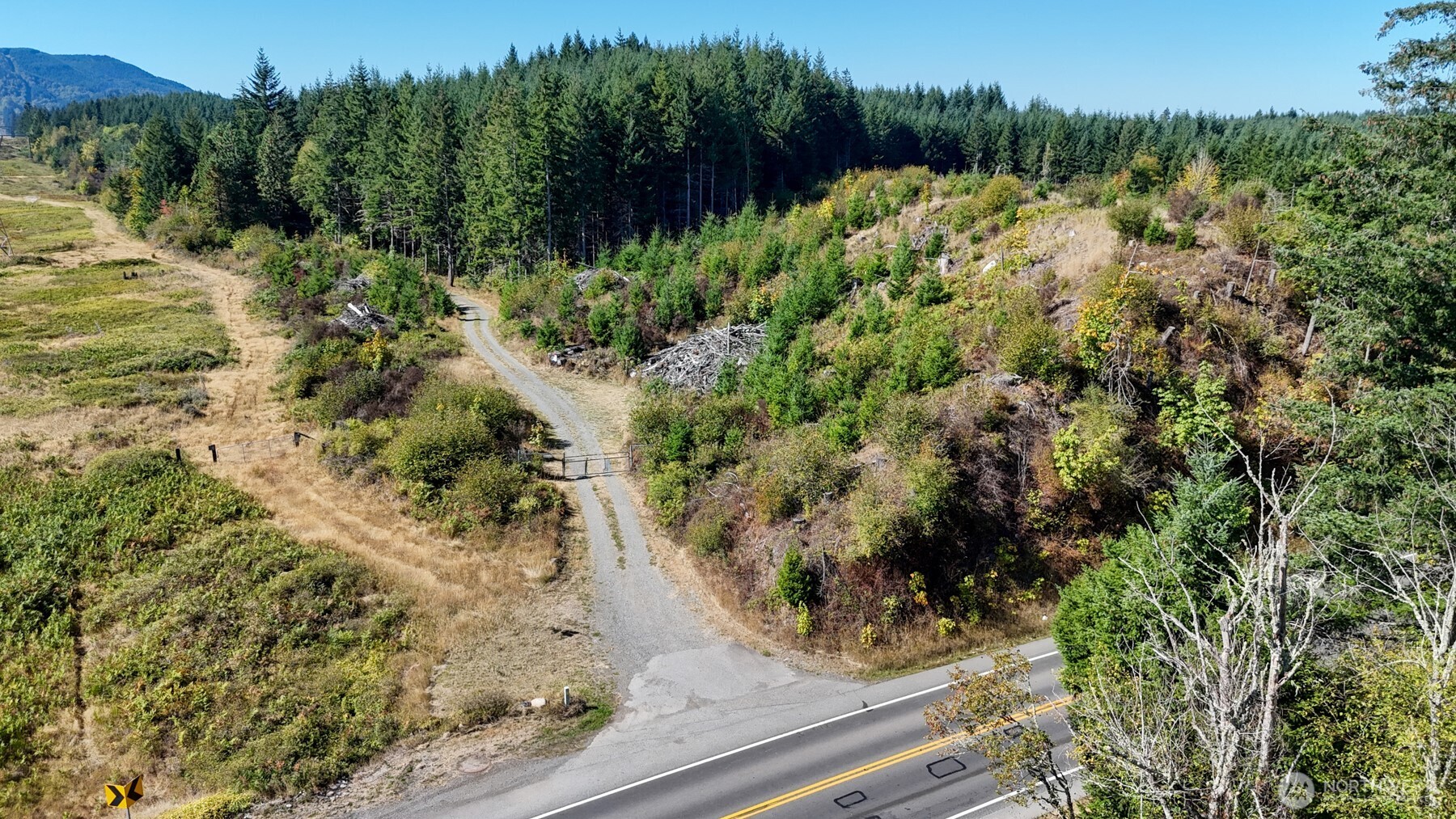 13409 Algyer Road Southeast Rainier, WA 98576 - Photo 2 of 25 Gallery Image 2
