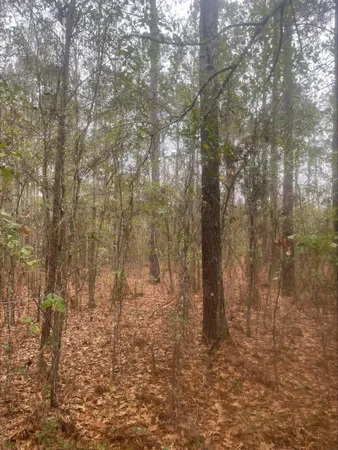 $42,000 | 0 111th Highway, Cairo, GA 39828