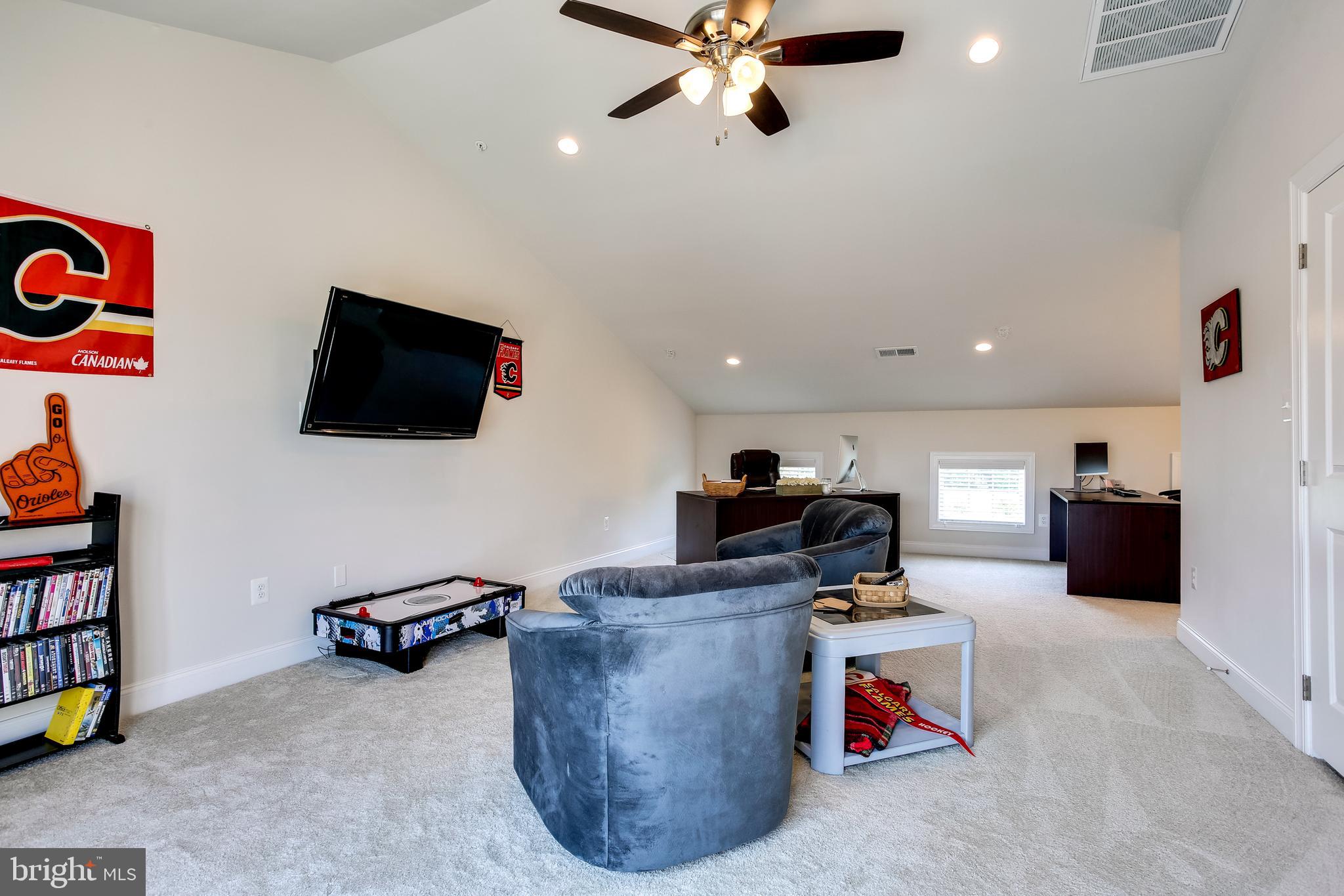 2546 Cherry Tree Road Hanover, MD 21076 - Photo 25 of 32 Large loft area w/skylights