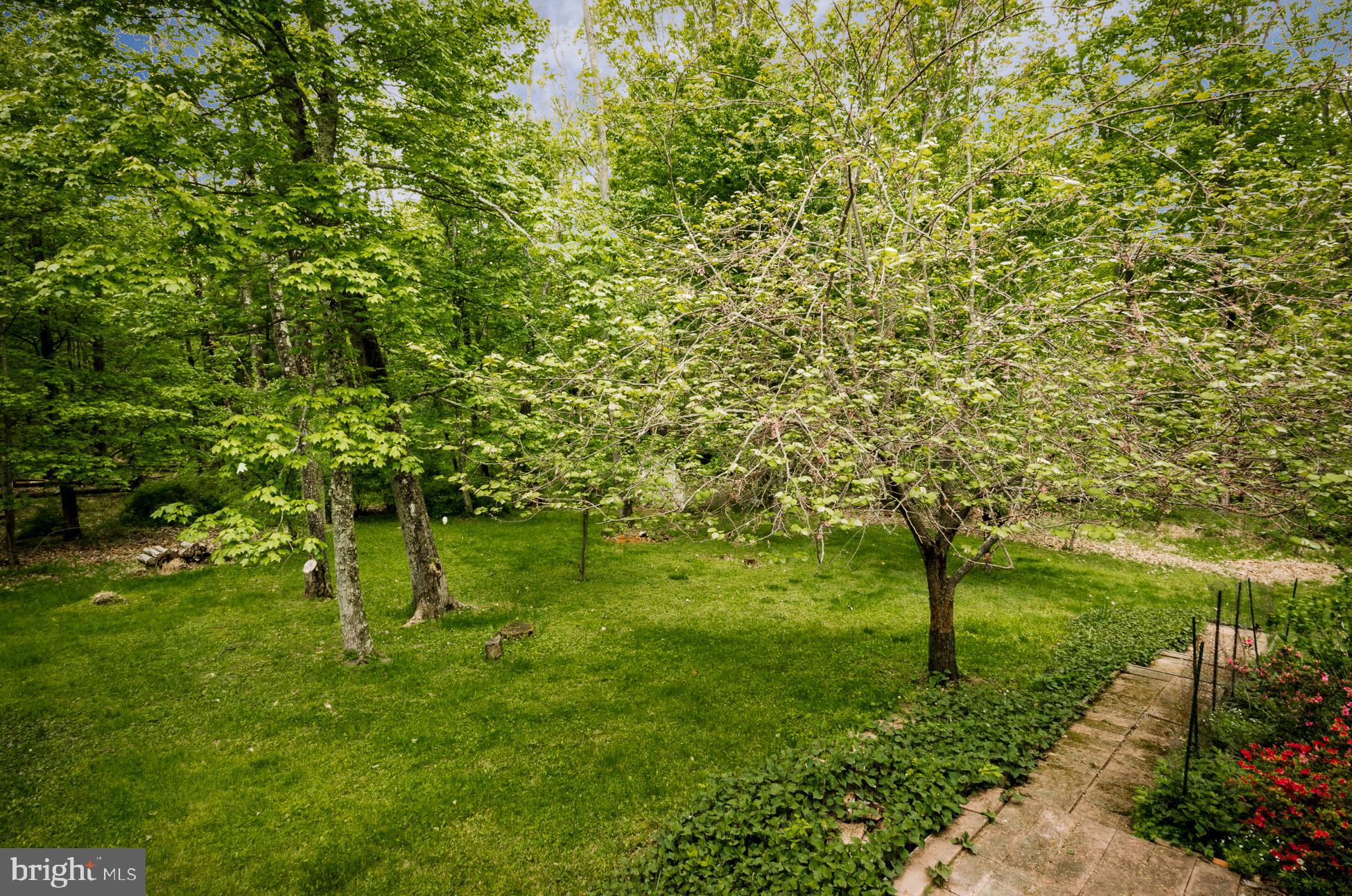 4680 Province Line Road Princeton, NJ 08540 - Photo 22 of 23 Back yard