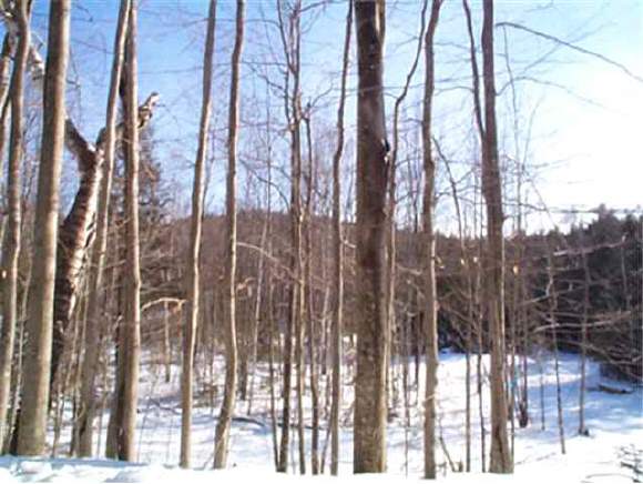 Lot 3 Pinnacle Road Campton, NH 03223 - Photo 1 of 2