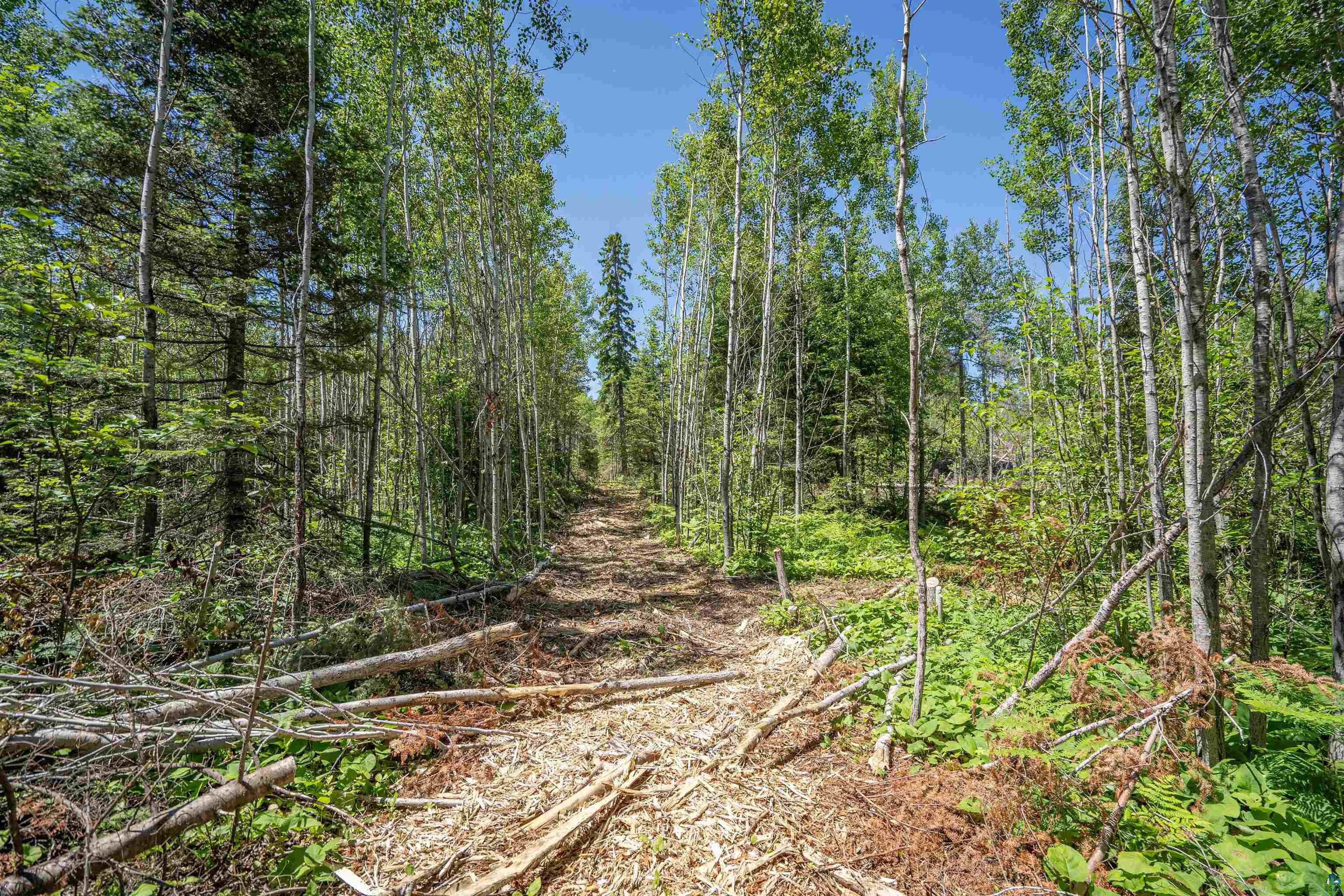 Xxx1 Wildwood Road Duluth, MN 55804 - Photo 18 of 25