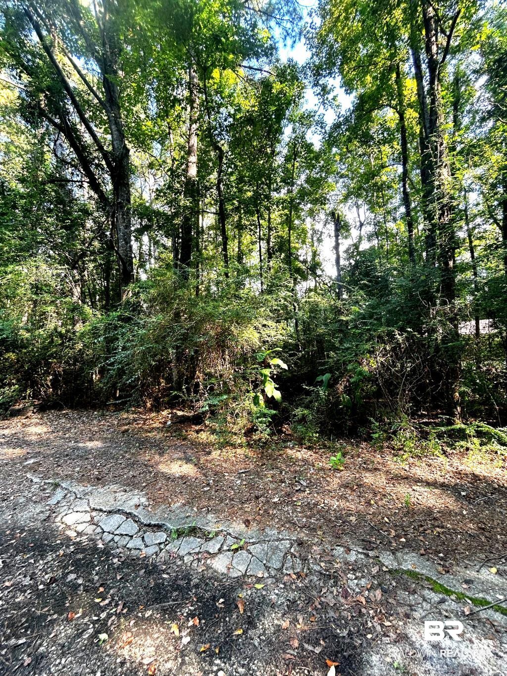 20708 Allen Street Mount Vernon, AL 36560 - Photo 1 of 4 Gallery Image 1
