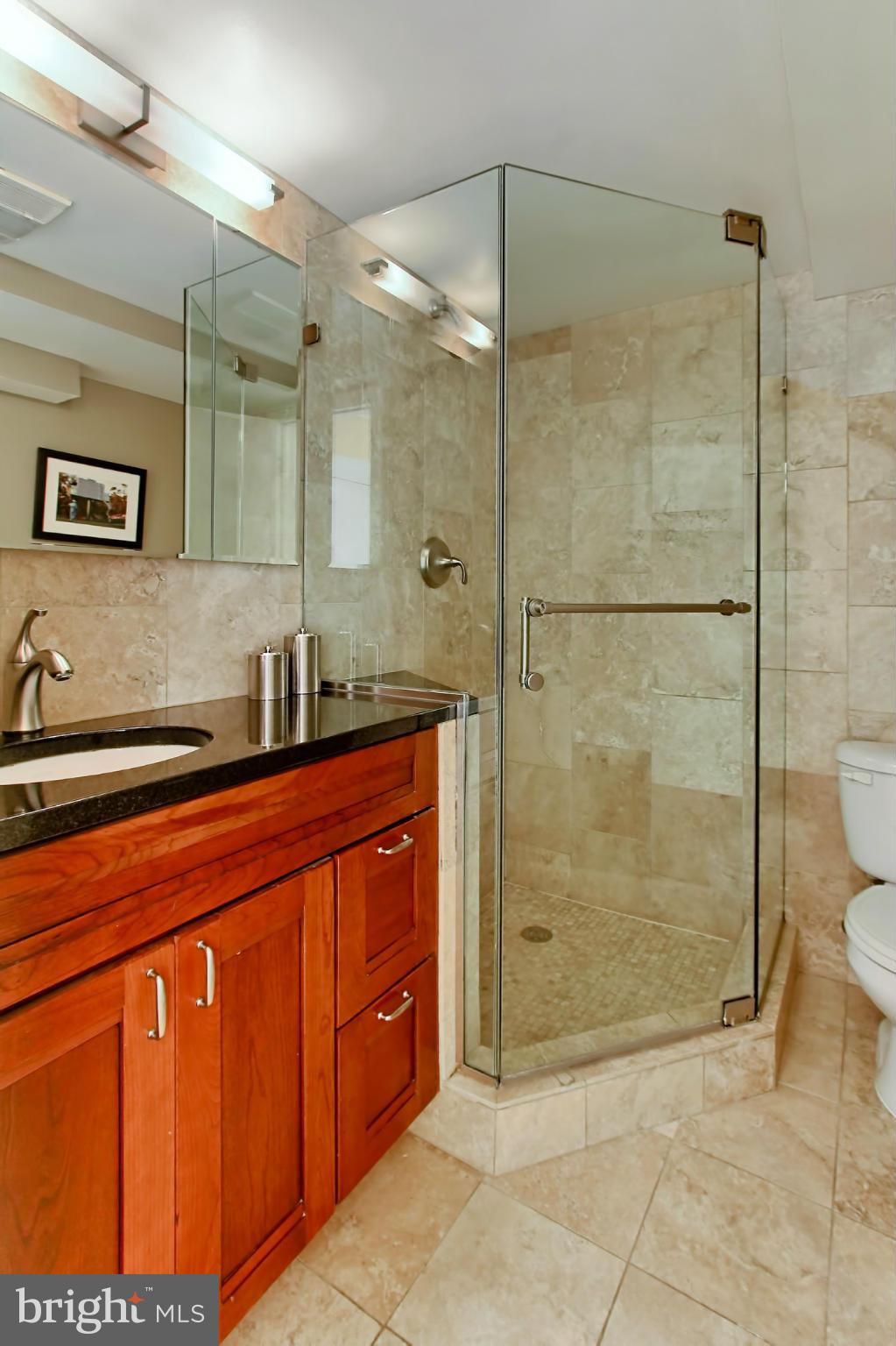 216 East Spring Street Alexandria, VA 22301 - Photo 21 of 30 Full bathroom on the basement level