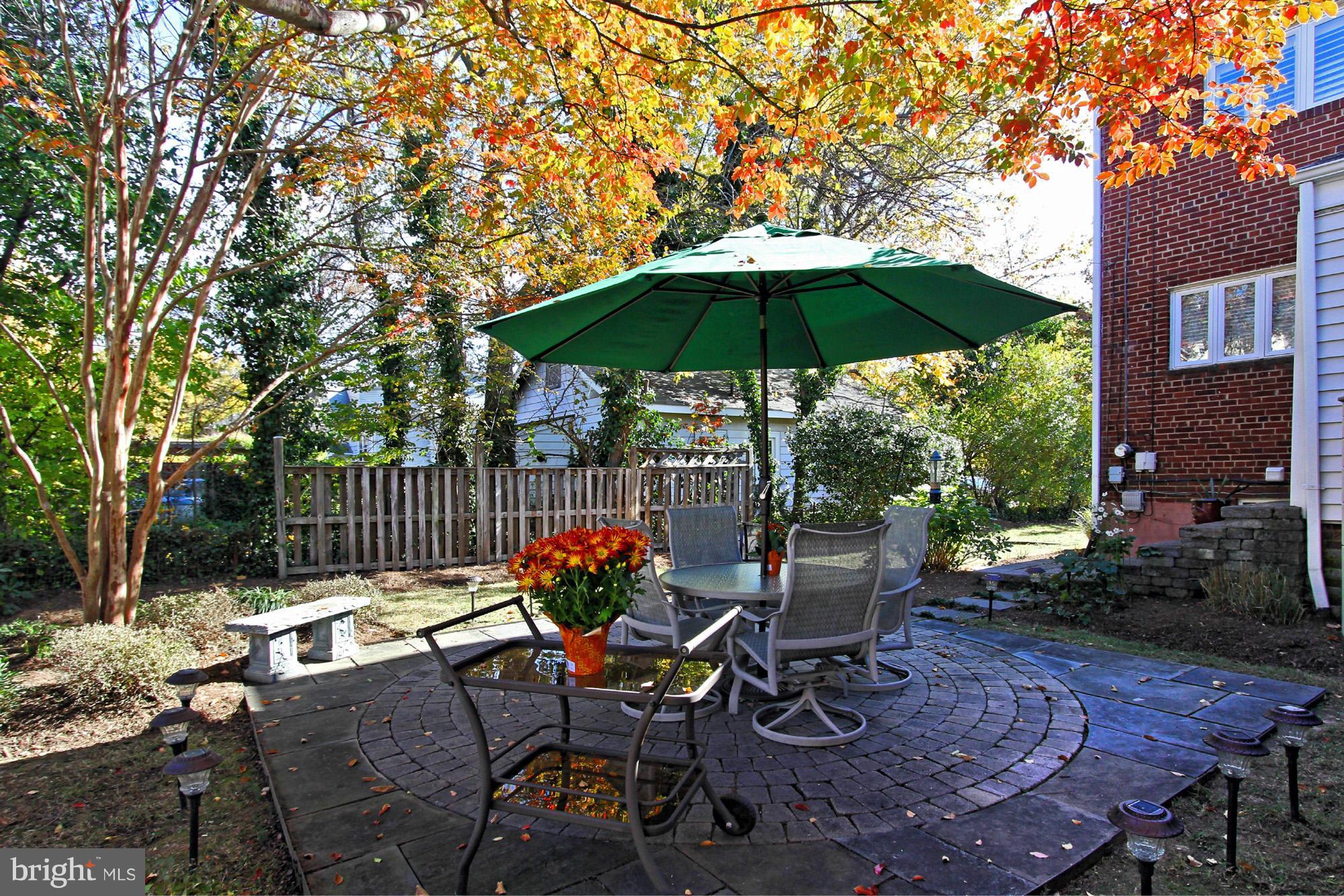 216 East Spring Street Alexandria, VA 22301 - Photo 28 of 30 Great outdoor space with room for gardening