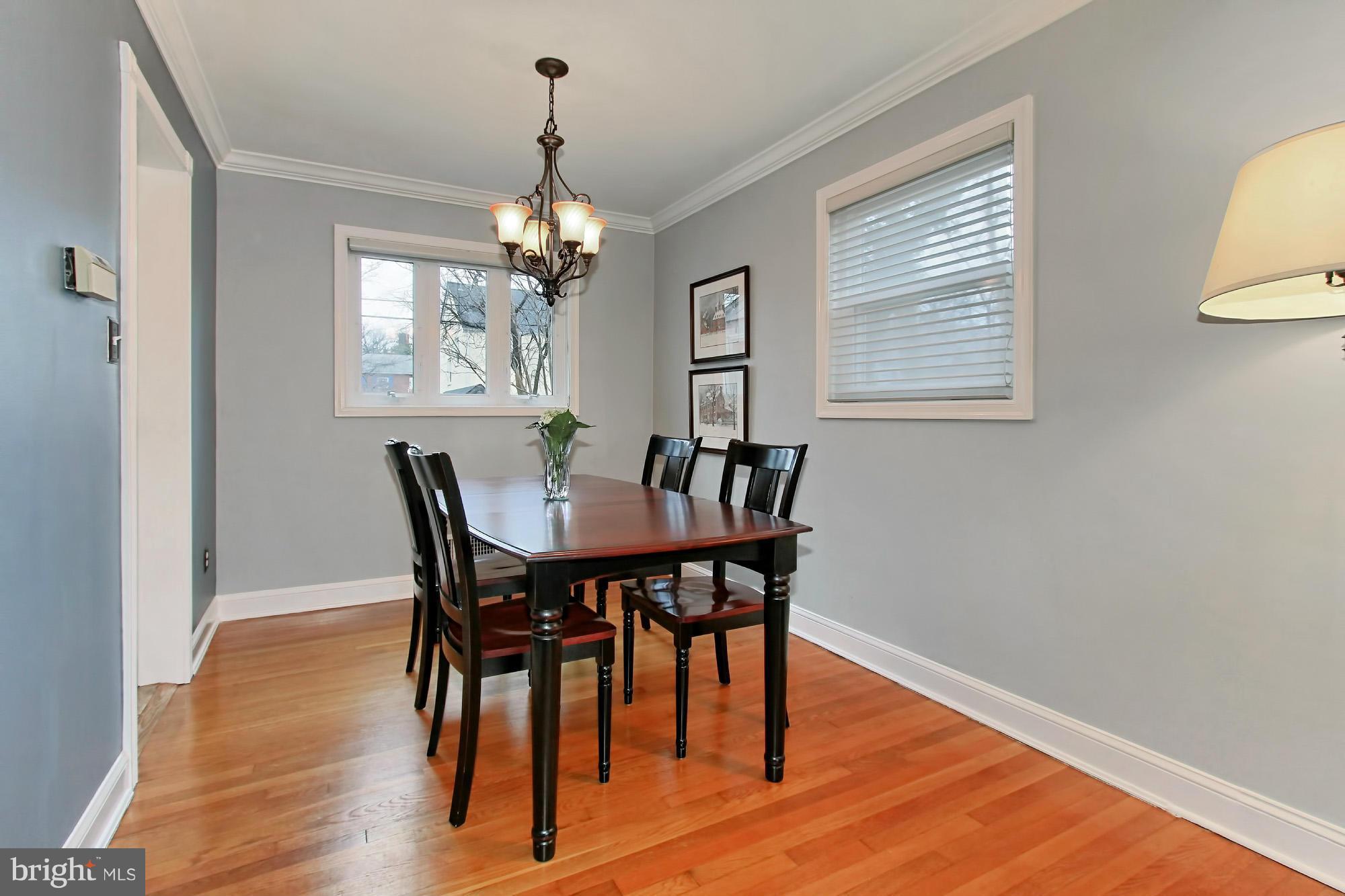 216 East Spring Street Alexandria, VA 22301 - Photo 4 of 30 Abundance of windows throughout the home