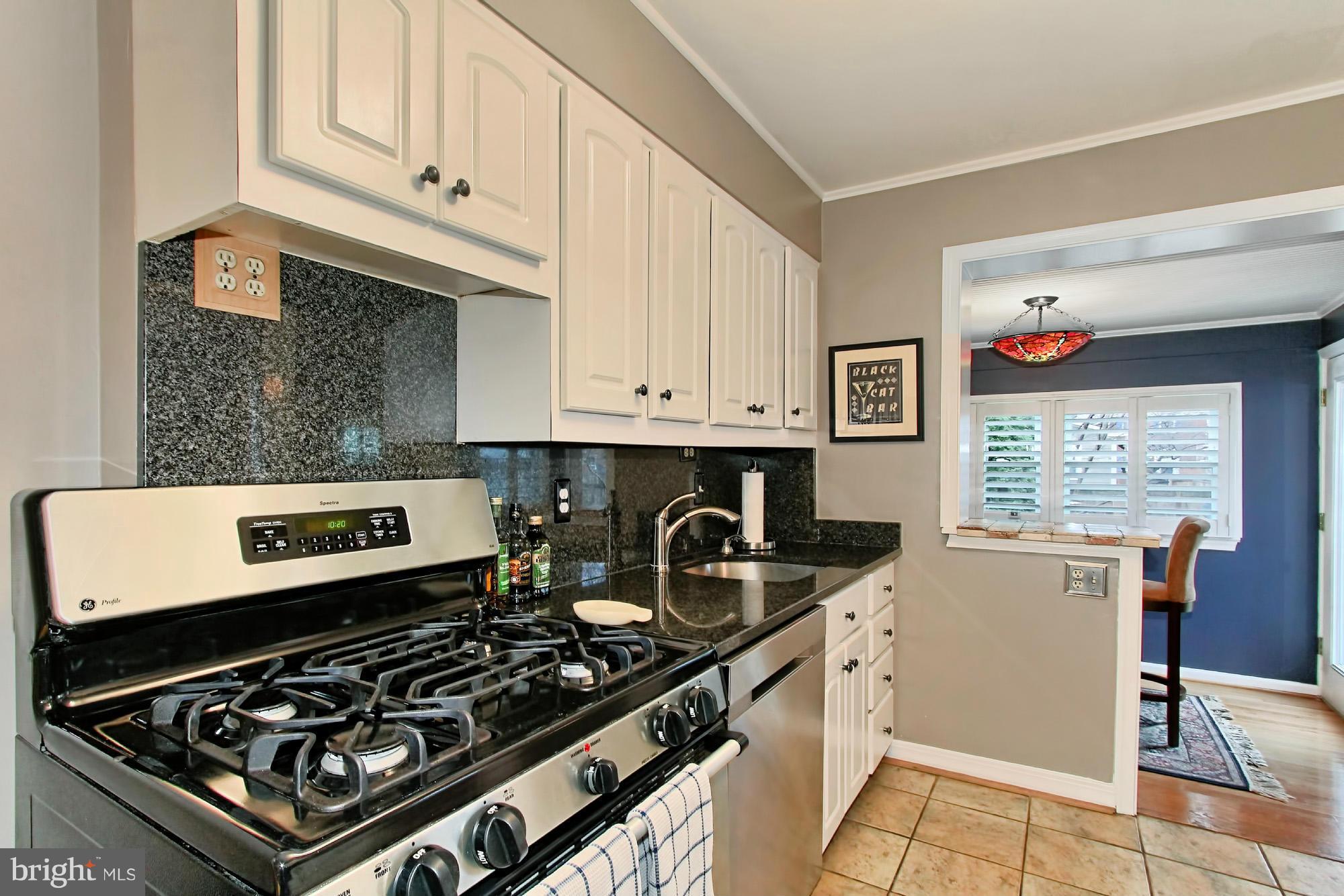 216 East Spring Street Alexandria, VA 22301 - Photo 7 of 30 Kitchen with pristine cabinets and SS appliances