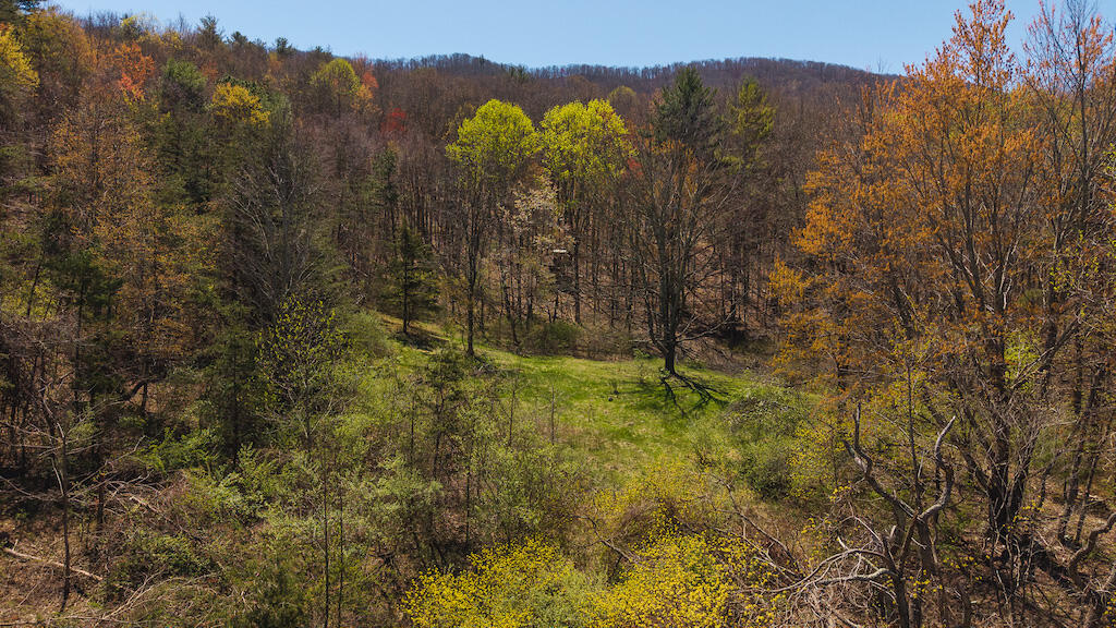 Tbd Byrnes Chapel Road Bland, VA 24315 - Photo 1 of 39 1