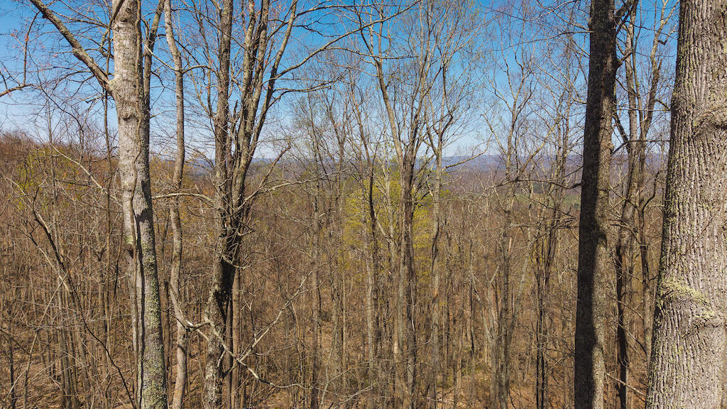 Tbd Byrnes Chapel Road Bland, VA 24315 - Photo 11 of 39 DJI_20250417123727_0215_D