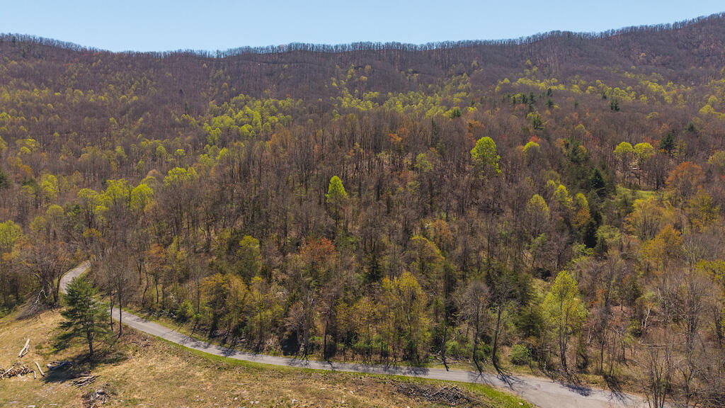 Tbd Byrnes Chapel Road Bland, VA 24315 - Photo 15 of 39 DJI_20250417130006_0220_D