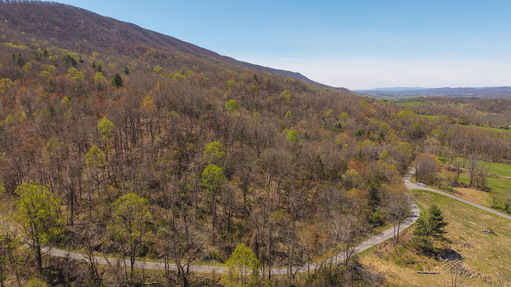 Tbd Byrnes Chapel Road Bland, VA 24315 - Photo 16 of 39 DJI_20250417130052_0222_D