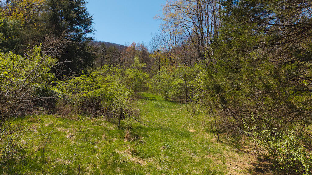 Tbd Byrnes Chapel Road Bland, VA 24315 - Photo 18 of 39 DJI_20250417130244_0226_D