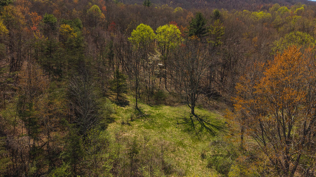 Tbd Byrnes Chapel Road Bland, VA 24315 - Photo 21 of 39 DJI_20250417130612_0232_D