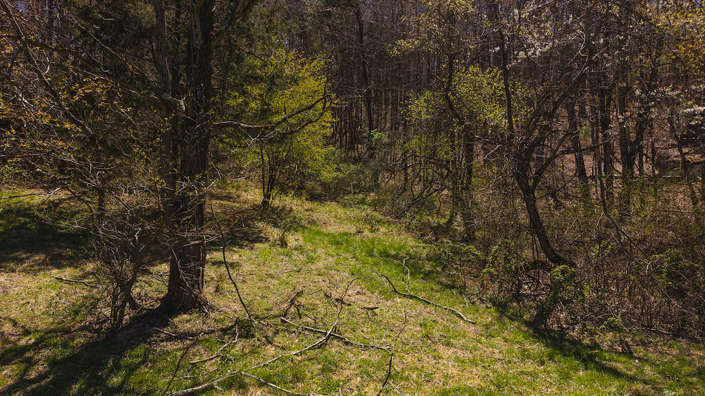 Tbd Byrnes Chapel Road Bland, VA 24315 - Photo 23 of 39 DJI_20250417130649_0235_D