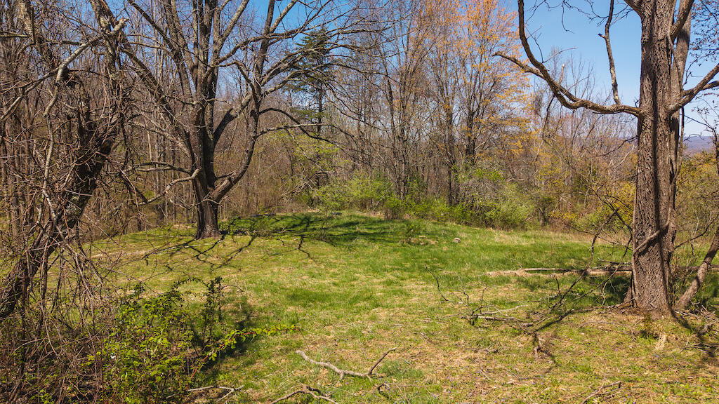 Tbd Byrnes Chapel Road Bland, VA 24315 - Photo 24 of 39 DJI_20250417130713_0236_D