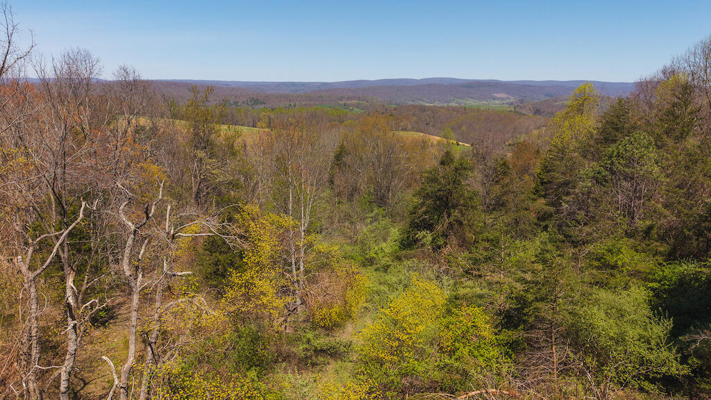 Tbd Byrnes Chapel Road Bland, VA 24315 - Photo 26 of 39 DJI_20250417130751_0239_D