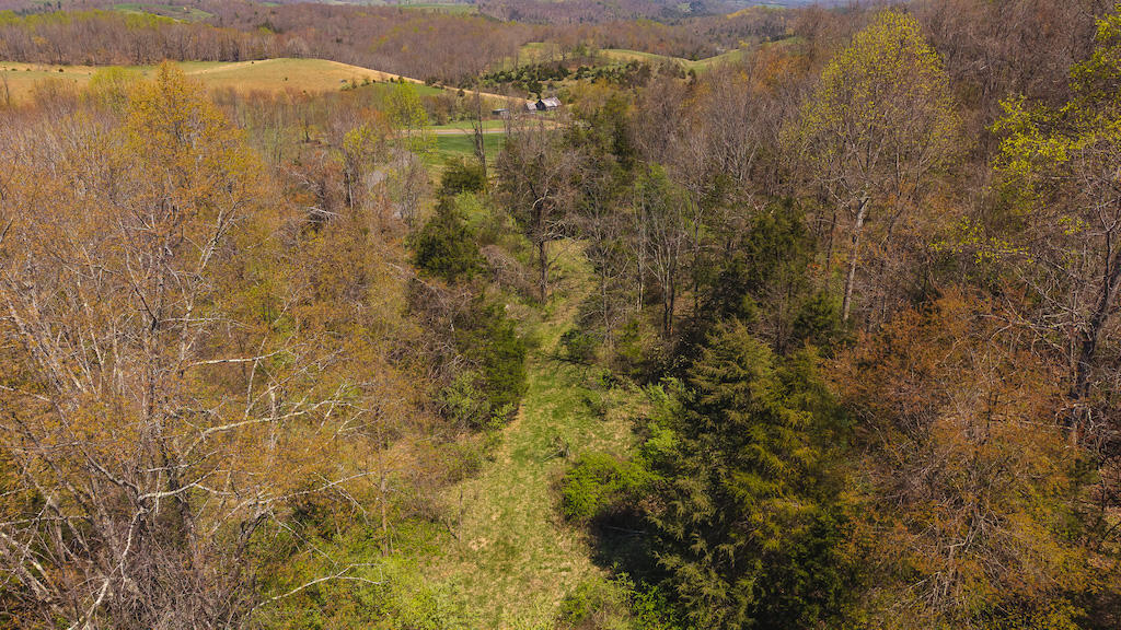 Tbd Byrnes Chapel Road Bland, VA 24315 - Photo 27 of 39 DJI_20250417130847_0241_D