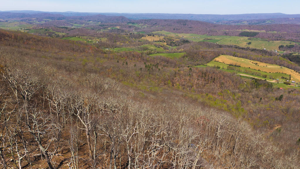 Tbd Byrnes Chapel Road Bland, VA 24315 - Photo 3 of 39 DJI_20250417121140_0194_D