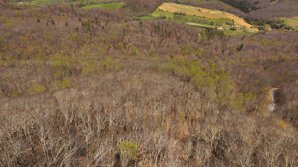 Tbd Byrnes Chapel Road Bland, VA 24315 - Photo 5 of 39 DJI_20250417121338_0199_D