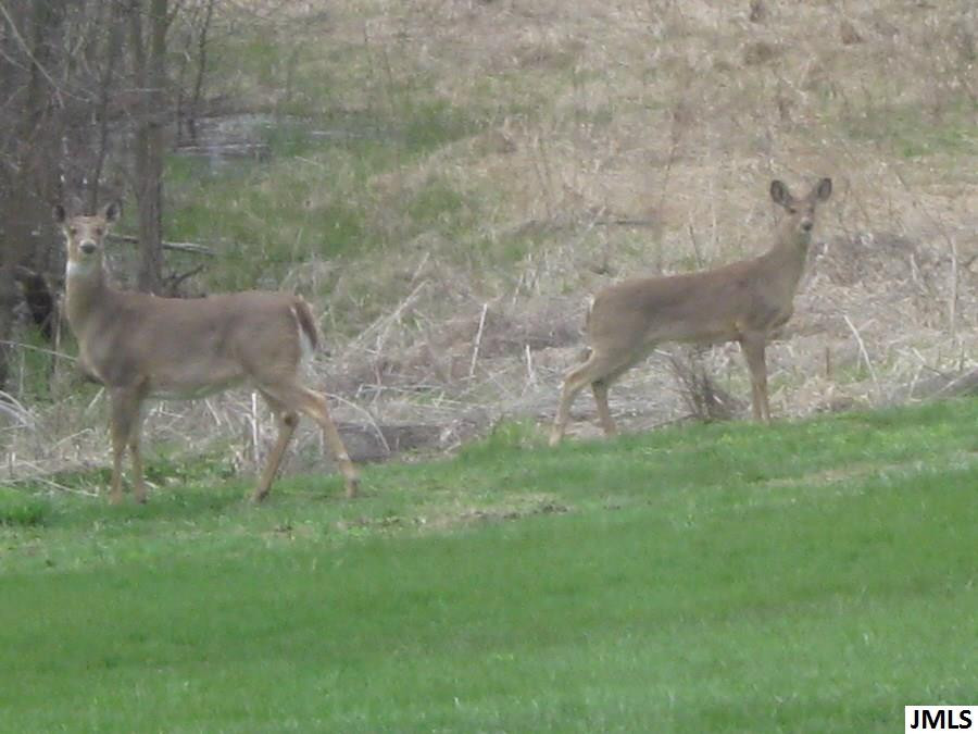 18420 Hillside Road Hudson, MI 49247 - Photo 36 of 36 Photo 36