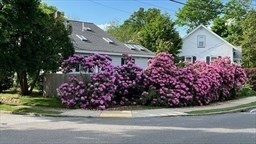 1 Cypress Road Arlington, MA 02474 - Photo 40 of 42 Gallery Image 40