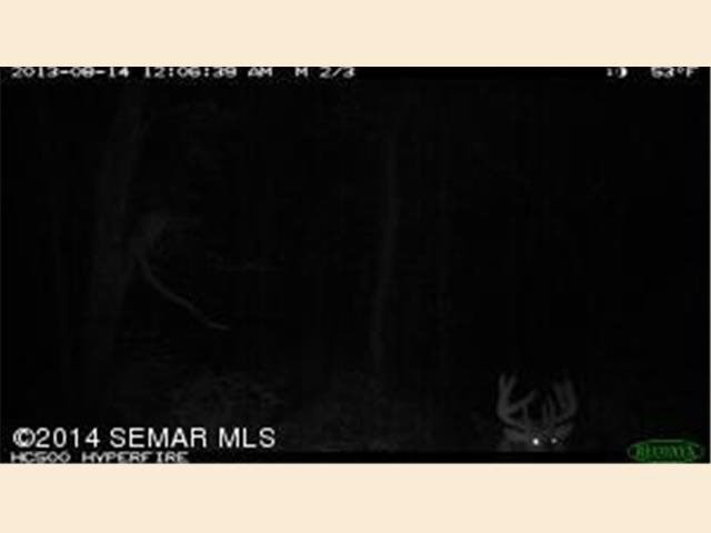 Xxxxx County 19 Spring Grove, MN 55974 - Photo 13 of 19 Gallery Image 13