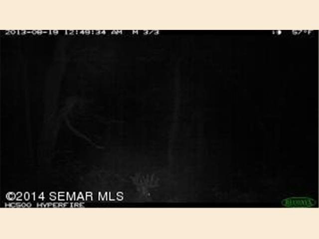Xxxxx County 19 Spring Grove, MN 55974 - Photo 15 of 19 Gallery Image 15