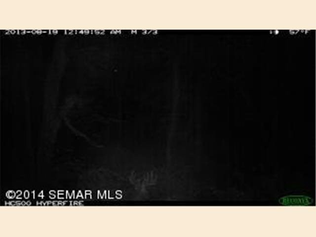 Xxxxx County 19 Spring Grove, MN 55974 - Photo 16 of 19 Gallery Image 16
