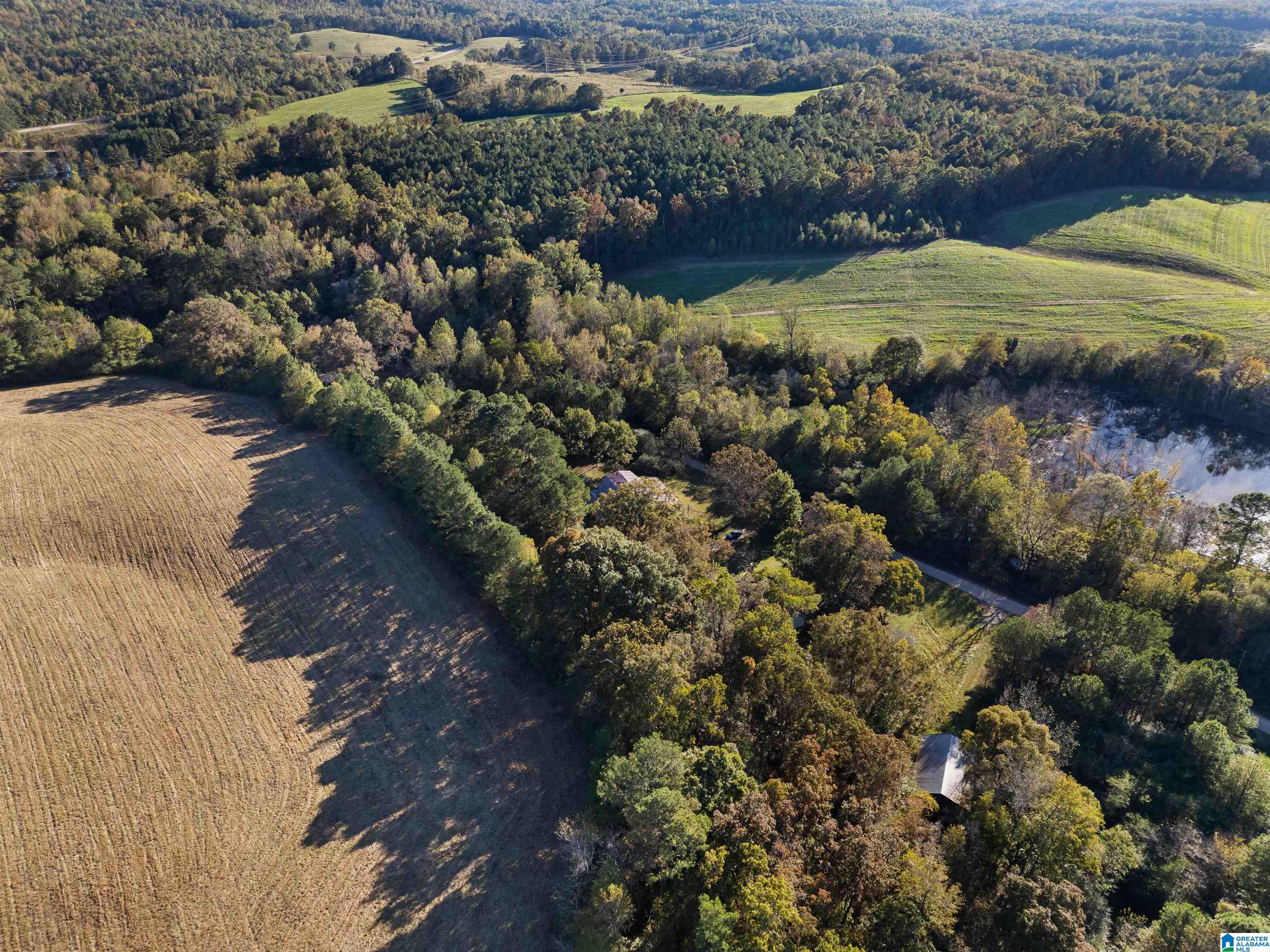 550 Hale Creek Road Altoona, AL 35952 - Photo 53 of 54