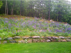 454 Bull Moose Ridge Road Stowe, VT 05672 - Photo 29 of 35 Gallery Image 29